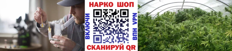 Виды наркоты Санкт-Петербург Псилоцибиновые грибы  ГАШИШ  АМФЕТАМИН 