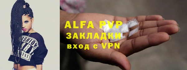 крисы Алзамай