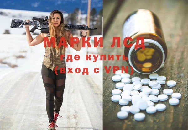 крисы Алзамай