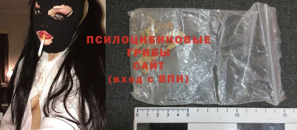 крисы Алзамай