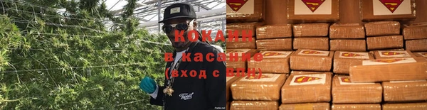крисы Алзамай