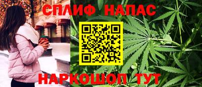 СК Магадан
