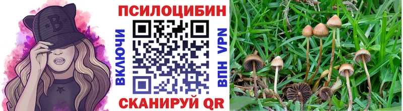 где найти наркотики  Санкт-Петербург  Псилоцибиновые грибы мицелий 