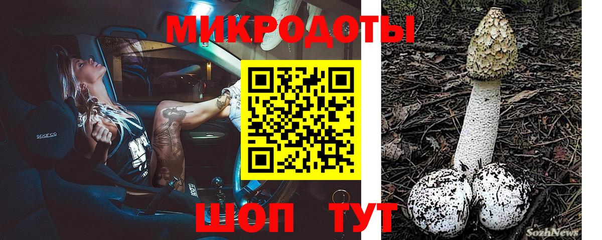 Санкт-Петербург  Галлюциногенные грибы GOLDEN TEACHER  Вход с VPN 